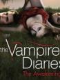 Vampire diaries saison 1 à 4