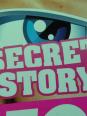 Quiz sur Secret Story 7