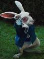Les lapins du cinéma d'animation