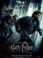 Harry Potter et les Reliques de la mort partie 1