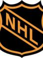 Logo hockey nhl