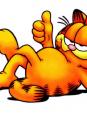 Garfield et compagnie *f