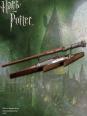 Sortilège de Harry Potter
