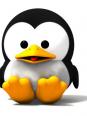 Info/Linux L2