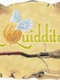 Harry Potter: Le Quidditch