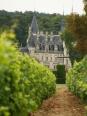 Les vins de la vallée de la Loire