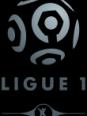 Ligue 1 2013/2014