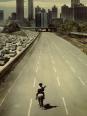 The Walking Dead - Série et BD