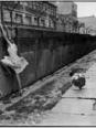 Der Berliner Mauer