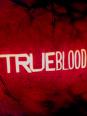 True Blood Saison 1 & 2 !