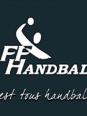 Handball 1 (France)