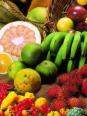 Les fruits de Guyane, test1