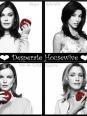 Les personnages de Desperate Housewives 2