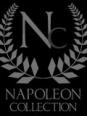 Le quiz Napoléon