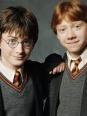 Harry Potter ou Ron Weasley ?
