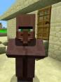 Minecraft : Le commerce