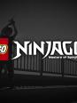 Ninjago Fan (2)