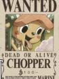 One Piece Tony-Tony Chopper