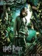 Harry Potter et le prisonnier d'Azkaban partie 2