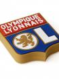 Olympique Lyonnais 2017/2018