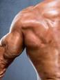 Muscles de la cuisse : quadriceps