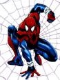Costumes ou autres versions de Spider-man