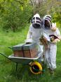Vérifiez vos connaissances sur les abeilles et la ruche