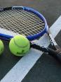 Le Tennis : légendes, histoires et performances
