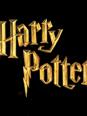 Personnages Harry Potter 2