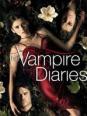 Etes-vous fan de The Vampire Diaries ?