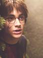 Harry Potter : la saga